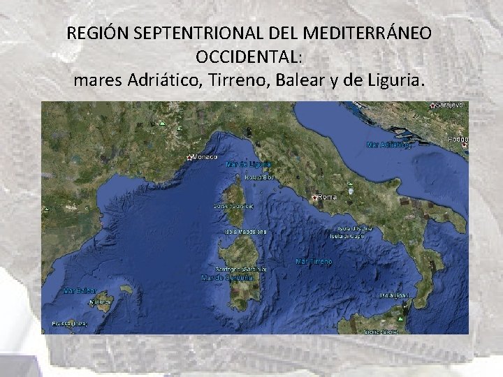 REGIÓN SEPTENTRIONAL DEL MEDITERRÁNEO OCCIDENTAL: mares Adriático, Tirreno, Balear y de Liguria. 