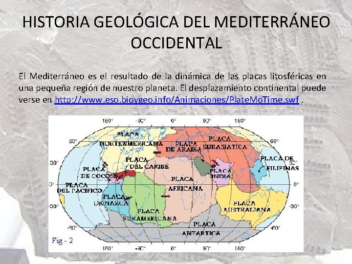 HISTORIA GEOLÓGICA DEL MEDITERRÁNEO OCCIDENTAL El Mediterráneo es el resultado de la dinámica de