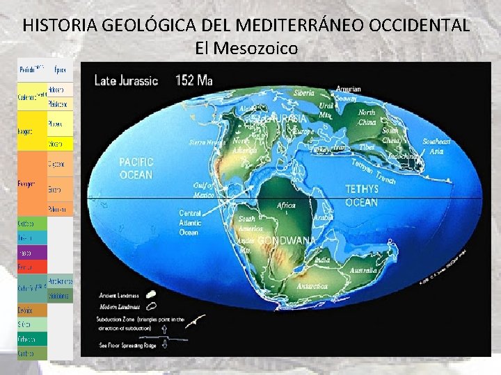 HISTORIA GEOLÓGICA DEL MEDITERRÁNEO OCCIDENTAL El Mesozoico 