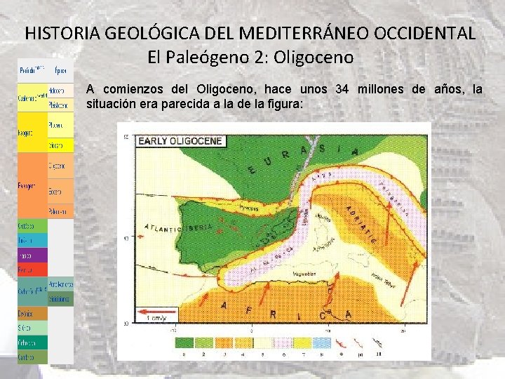 HISTORIA GEOLÓGICA DEL MEDITERRÁNEO OCCIDENTAL El Paleógeno 2: Oligoceno A comienzos del Oligoceno, hace