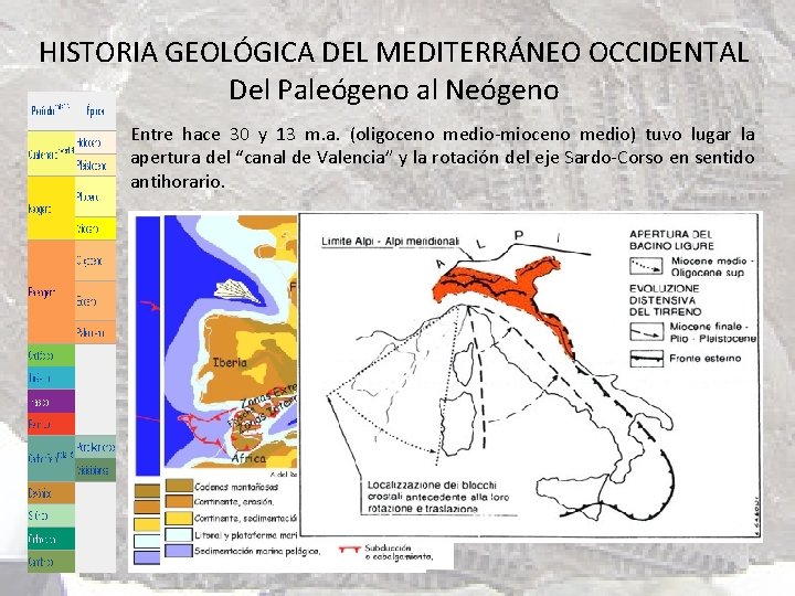 HISTORIA GEOLÓGICA DEL MEDITERRÁNEO OCCIDENTAL Del Paleógeno al Neógeno Entre hace 30 y 13