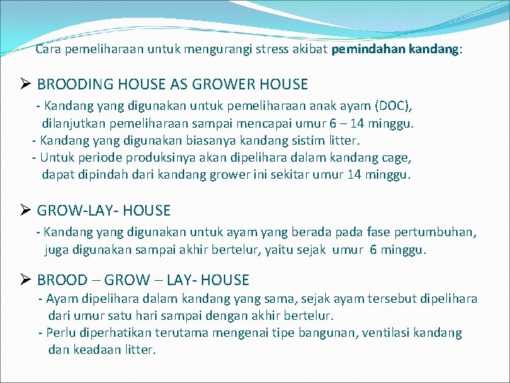 Cara pemeliharaan untuk mengurangi stress akibat pemindahan kandang: BROODING HOUSE AS GROWER HOUSE -