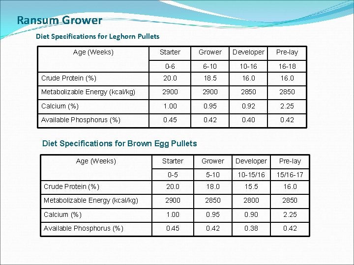 Ransum Grower Diet Specifications for Leghorn Pullets Age (Weeks) Starter Grower Developer Pre-lay 0