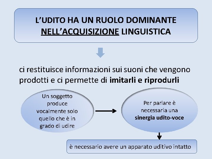 L’UDITO HA UN RUOLO DOMINANTE NELL’ACQUISIZIONE LINGUISTICA ci restituisce informazioni suoni che vengono prodotti