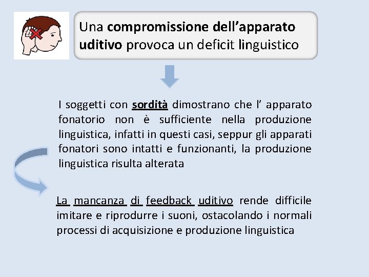 Una compromissione dell’apparato uditivo provoca un deficit linguistico I soggetti con sordità dimostrano che