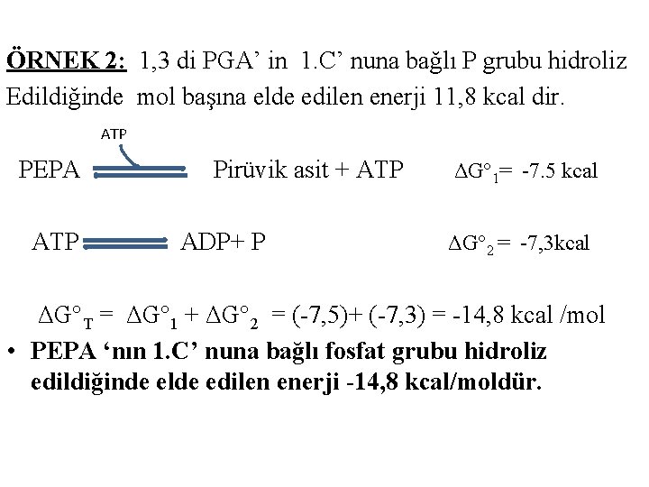 ÖRNEK 2: 1, 3 di PGA’ in 1. C’ nuna bağlı P grubu hidroliz