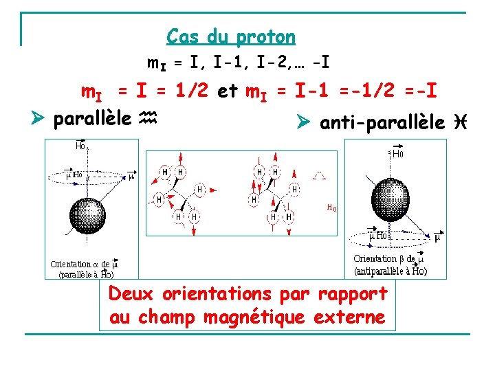 Cas du proton m. I = I, I-1, I-2, … -I m. I =