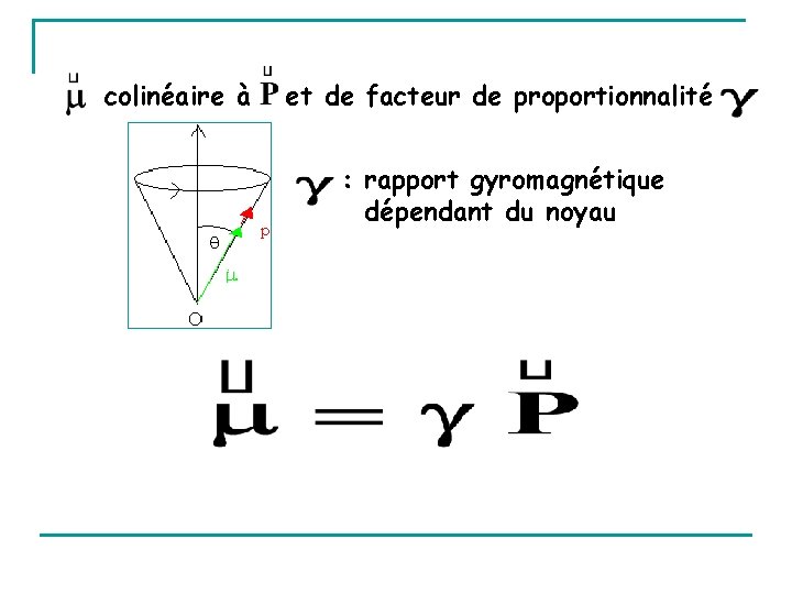 colinéaire à et de facteur de proportionnalité : rapport gyromagnétique dépendant du noyau 