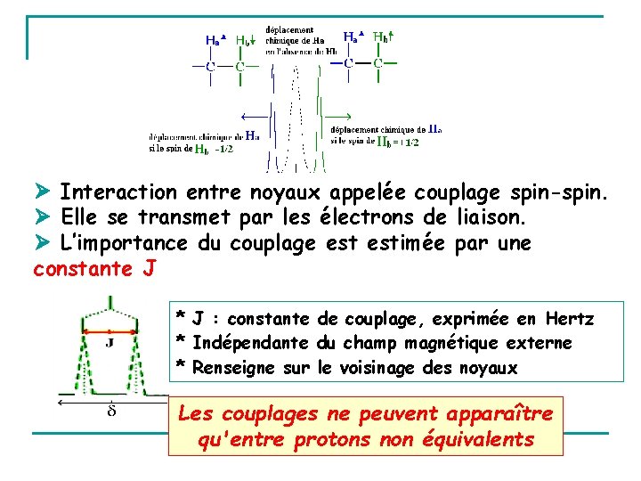  Interaction entre noyaux appelée couplage spin-spin. Elle se transmet par les électrons de