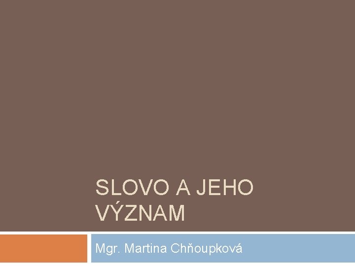 SLOVO A JEHO VÝZNAM Mgr. Martina Chňoupková 