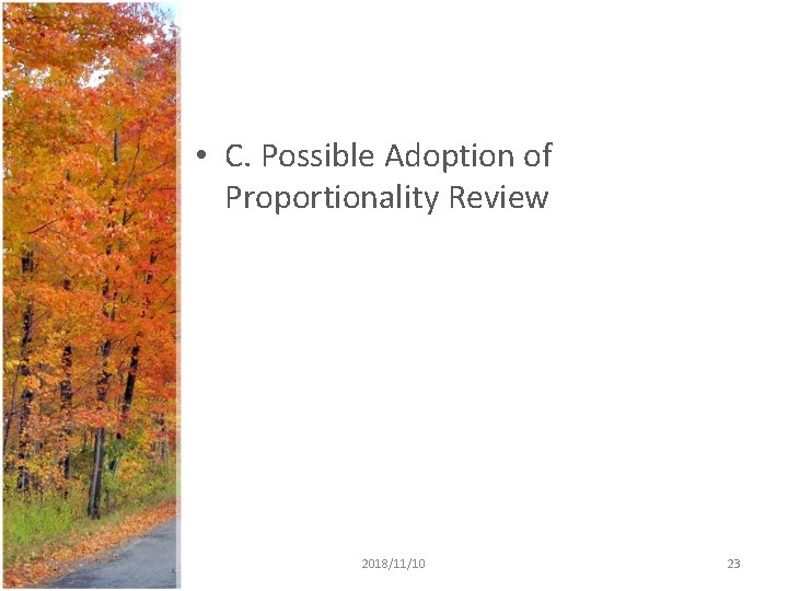 • C. Possible Adoption of Proportionality Review 2020/12/5 2018/11/10 23 • C. Possible Adoption of Proportionality Review 2020/12/5 2018/11/10 23
