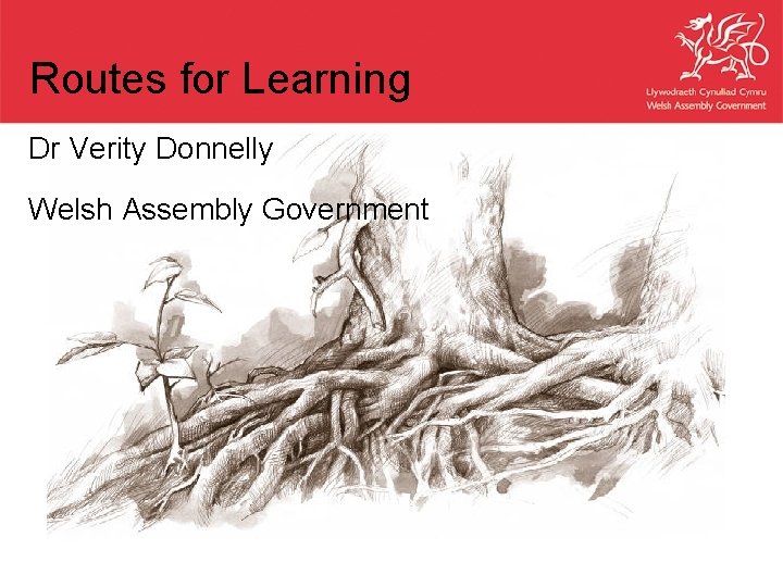 Routes for Learning Dr Verity Donnelly Welsh Assembly Government 