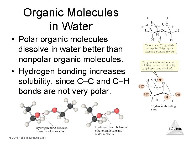 Organic Molecules in Water • Polar organic molecules dissolve in water better than nonpolar