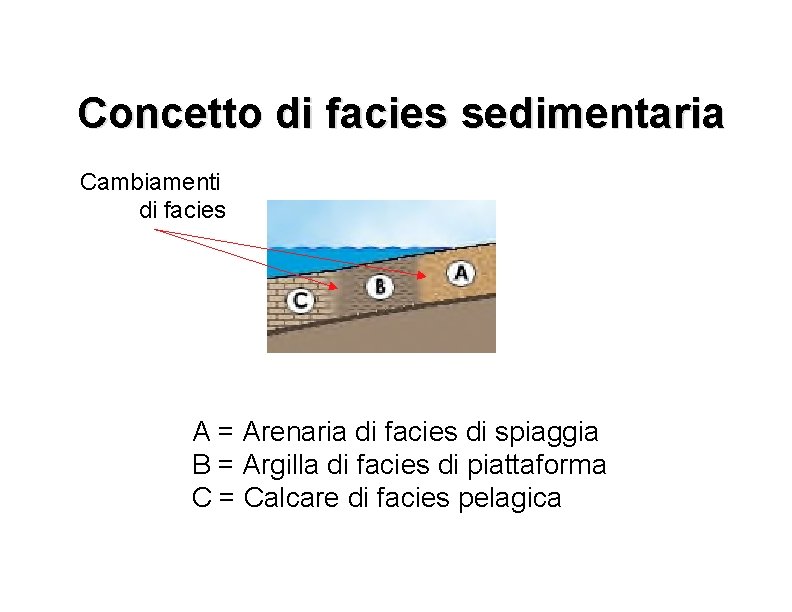 Concetto di facies sedimentaria Cambiamenti di facies A = Arenaria di facies di spiaggia