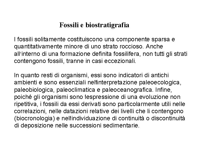 Fossili e biostratigrafia I fossili solitamente costituiscono una componente sparsa e quantitativamente minore di