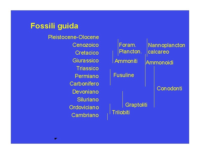 Fossili guida Pleistocene-Olocene Cenozoico Cretacico Giurassico Triassico Permiano Carbonifero Devoniano Siluriano Ordoviciano Cambriano Ordoviciano