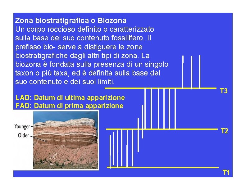 Zona biostratigrafica o Biozona Un corpo roccioso definito o caratterizzato sulla base del suo