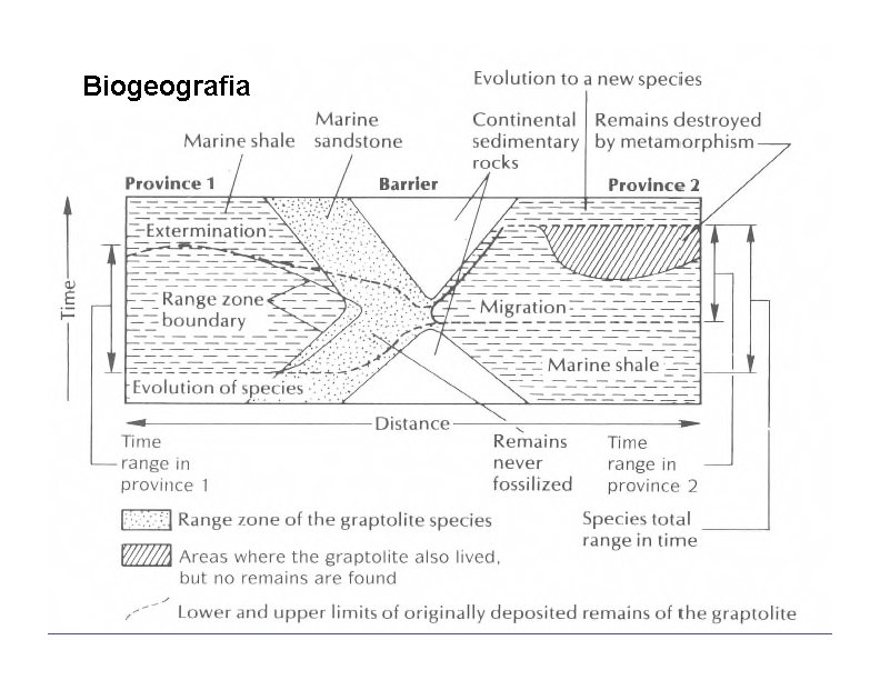 Biogeografia 