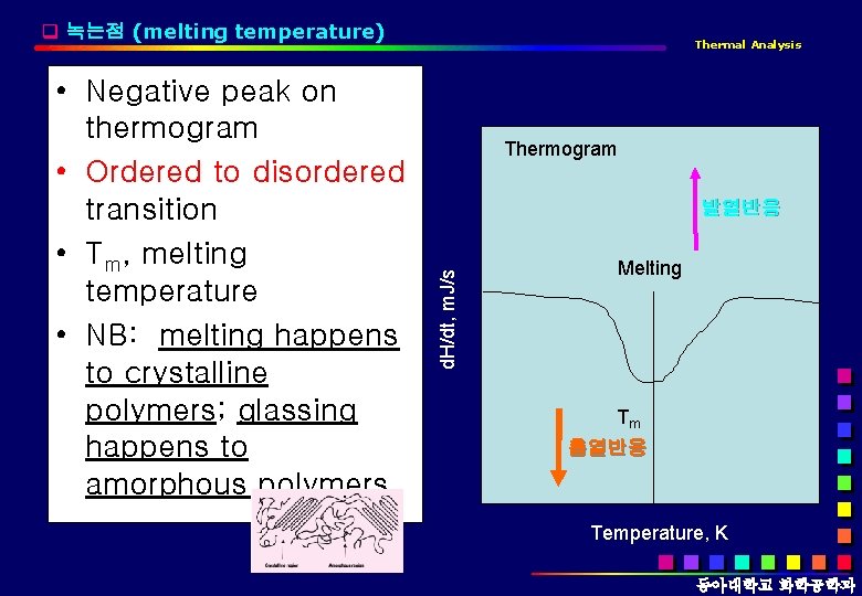 q 녹는점 (melting temperature) Thermogram 발열반응 d. H/dt, m. J/s • Negative peak on