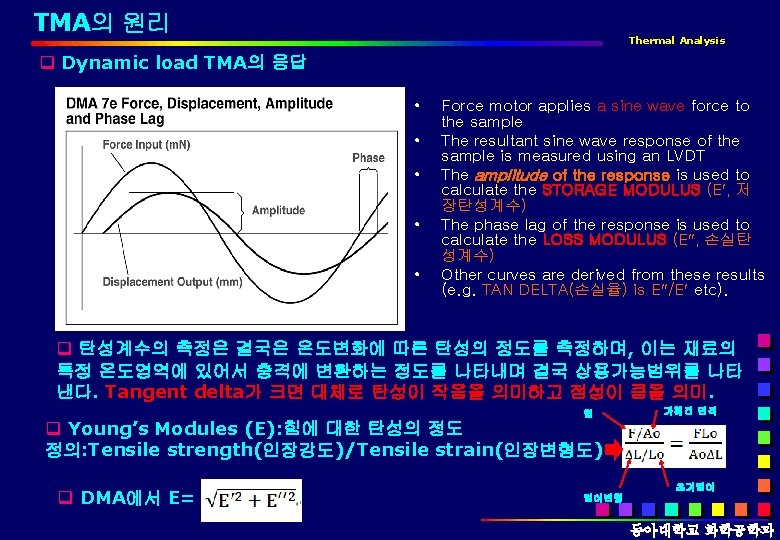 TMA의 원리 Thermal Analysis q Dynamic load TMA의 응답 • • • Force motor