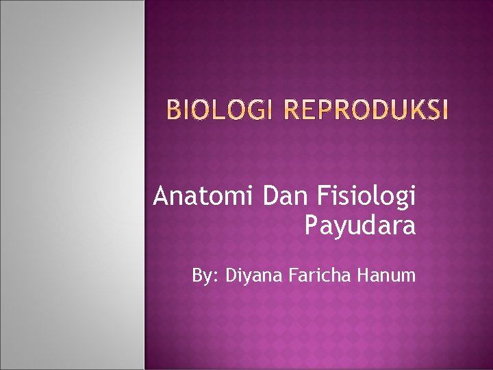 Anatomi Dan Fisiologi Payudara By: Diyana Faricha Hanum 