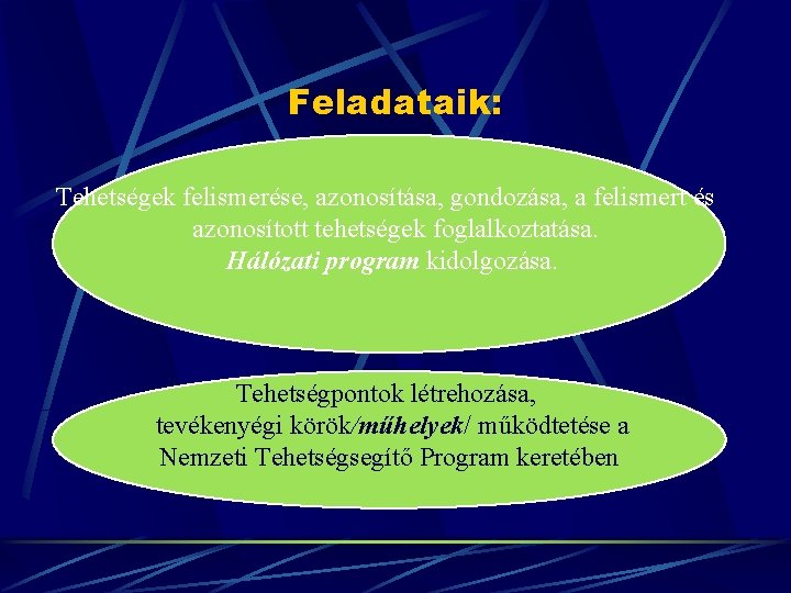 Feladataik: Tehetségek felismerése, azonosítása, gondozása, a felismert és azonosított tehetségek foglalkoztatása. Hálózati program kidolgozása.