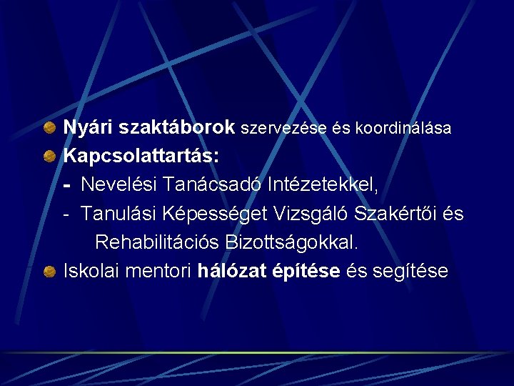 Nyári szaktáborok szervezése és koordinálása Kapcsolattartás: - Nevelési Tanácsadó Intézetekkel, - Tanulási Képességet Vizsgáló