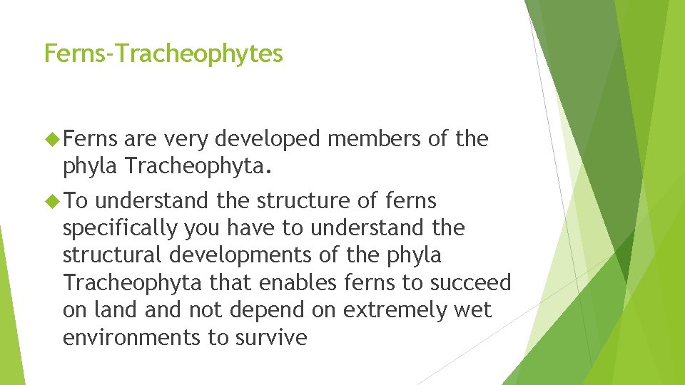 Ferns-Tracheophytes Ferns are very developed members of the phyla Tracheophyta. To understand the structure