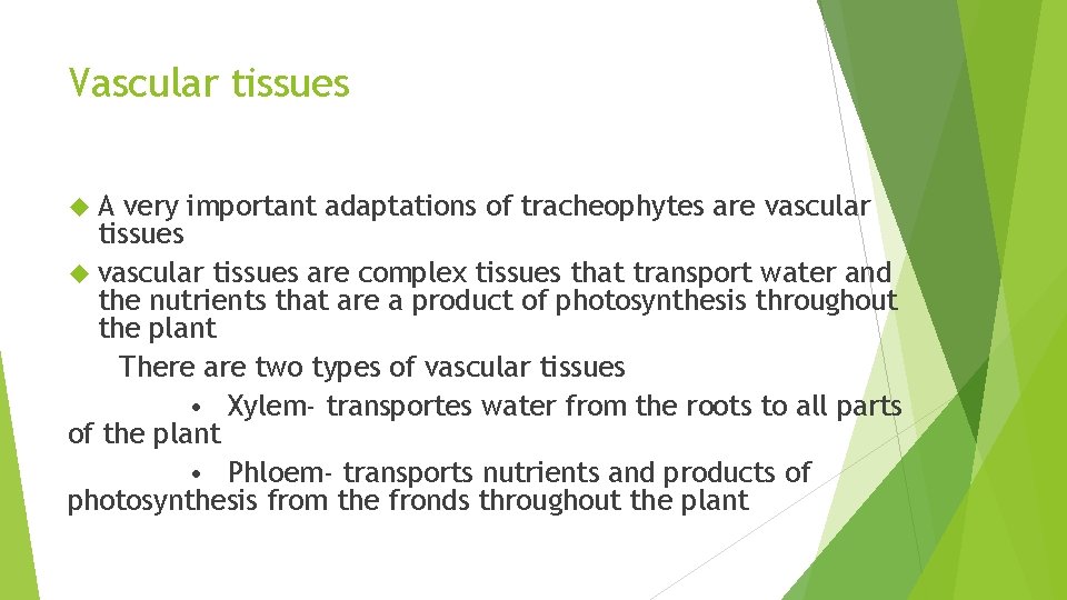 Vascular tissues A very important adaptations of tracheophytes are vascular tissues are complex tissues