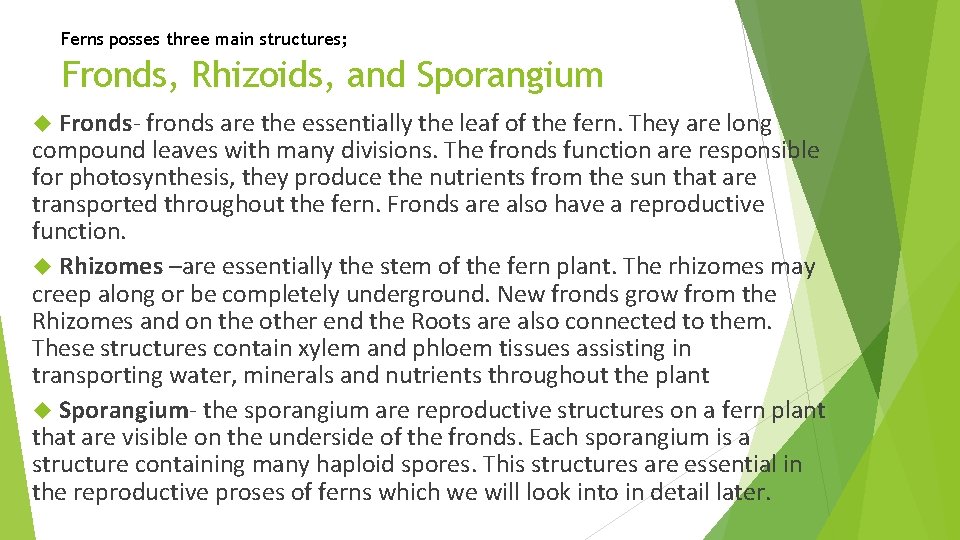 Ferns posses three main structures; Fronds, Rhizoids, and Sporangium Fronds- fronds are the essentially