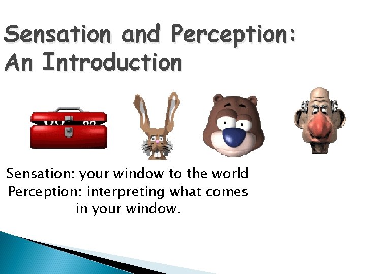 Sensation and Perception: An Introduction Sensation: your window to the world Perception: interpreting what