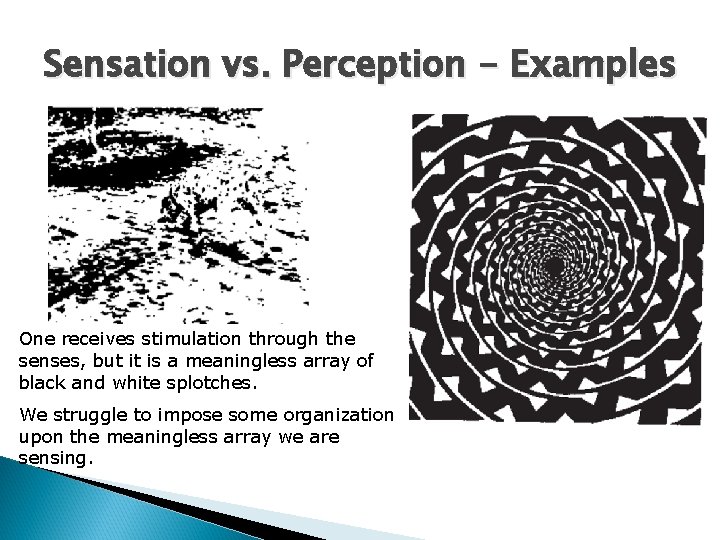 Sensation vs. Perception - Examples One receives stimulation through the senses, but it is