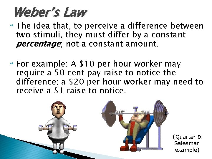 Weber’s Law The idea that, to perceive a difference between two stimuli, they must