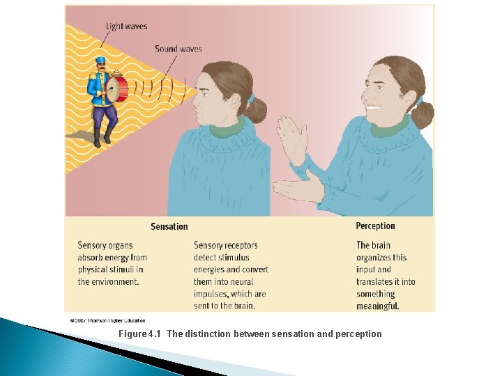 Figure 4. 1 The distinction between sensation and perception 