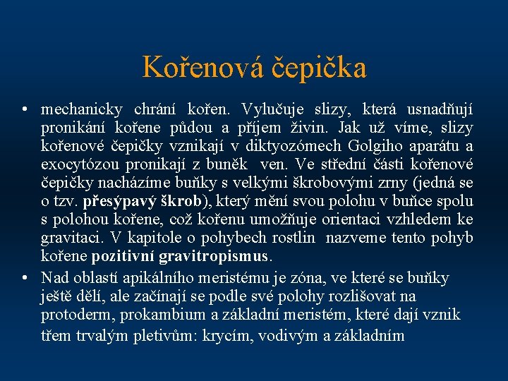 Kořenová čepička • mechanicky chrání kořen. Vylučuje slizy, která usnadňují pronikání kořene půdou a