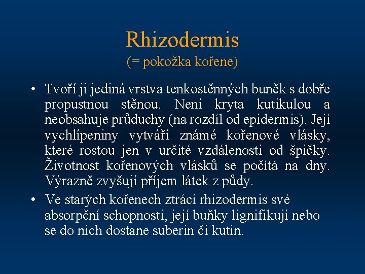 Rhizodermis (= pokožka kořene) • Tvoří ji jediná vrstva tenkostěnných buněk s dobře propustnou