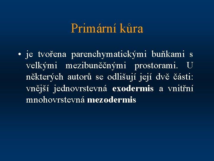 Primární kůra • je tvořena parenchymatickými buňkami s velkými mezibuněčnými prostorami. U některých autorů