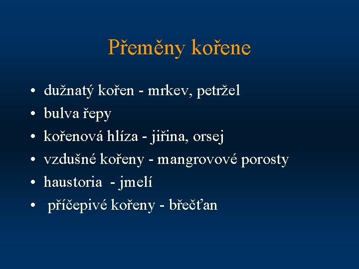 Přeměny kořene • • • dužnatý kořen - mrkev, petržel bulva řepy kořenová hlíza
