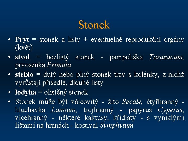 Stonek • Prýt = stonek a listy + eventuelně reprodukční orgány (květ) • stvol