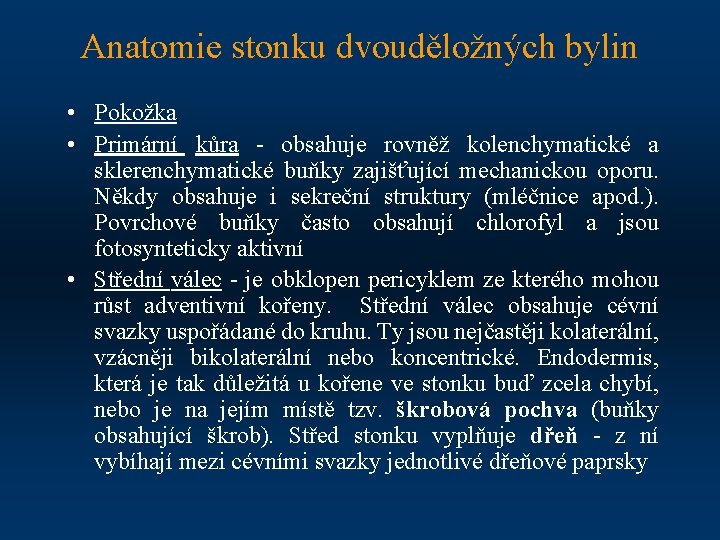 Anatomie stonku dvouděložných bylin • Pokožka • Primární kůra - obsahuje rovněž kolenchymatické a