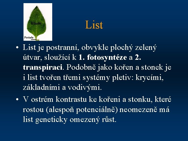 List • List je postranní, obvykle plochý zelený útvar, sloužící k 1. fotosyntéze a
