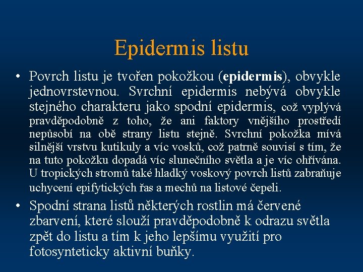Epidermis listu • Povrch listu je tvořen pokožkou (epidermis), obvykle jednovrstevnou. Svrchní epidermis nebývá