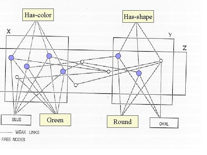 Has-color Green Has-shape Round Has-color Green Has-shape Round