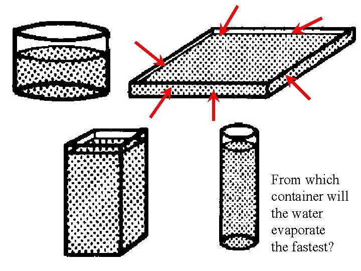 From which container will the water evaporate the fastest? 