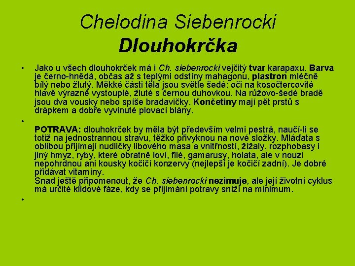 Chelodina Siebenrocki Dlouhokrčka • • • Jako u všech dlouhokrček má i Ch. siebenrocki