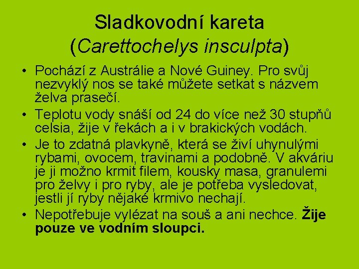 Sladkovodní kareta (Carettochelys insculpta) • Pochází z Austrálie a Nové Guiney. Pro svůj nezvyklý