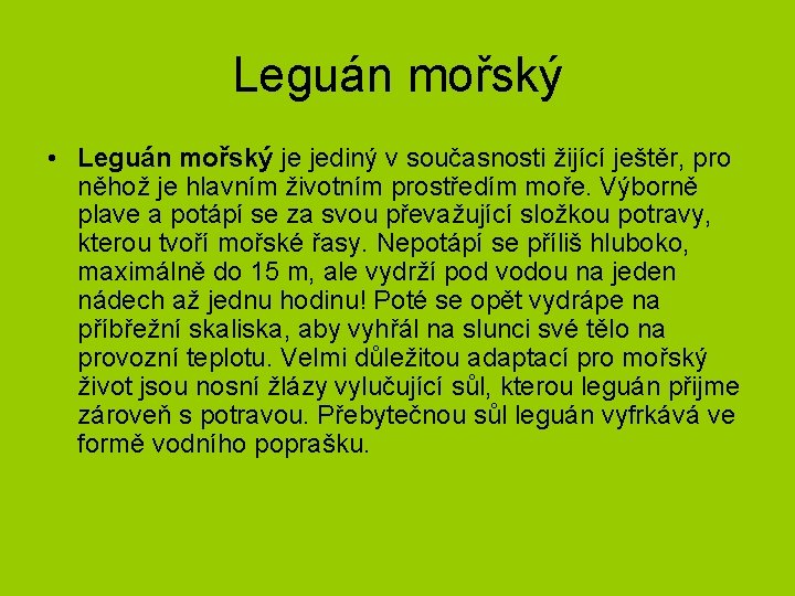 Leguán mořský • Leguán mořský je jediný v současnosti žijící ještěr, pro něhož je