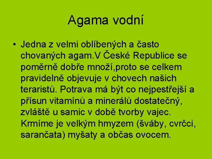 Agama vodní • Jedna z velmi oblíbených a často chovaných agam. V České Republice