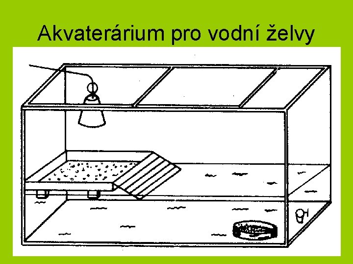 Akvaterárium pro vodní želvy 