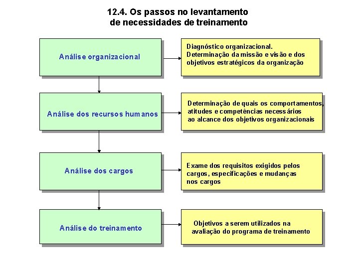 12. 4. Os passos no levantamento de necessidades de treinamento Análise organizacional Análise dos